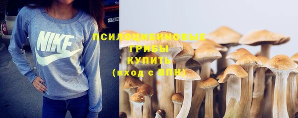 бутират Верея