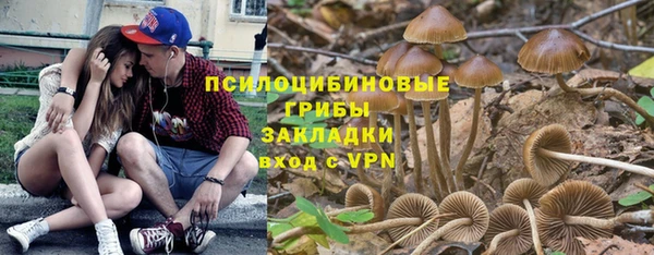 бутират Верея
