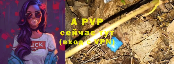 ECSTASY Верхний Тагил